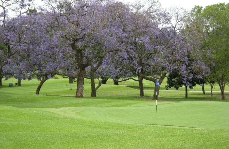 Pretoria Golf club